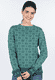 Strickpullover Dorit Nordic  - bottle green